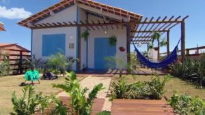 Eucalipto Tratado - Madeira Tratada de Alta Qualidade - Armazém do Eucalipto - Madeira Tratada