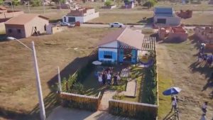 Eucalipto Tratado - Madeira Tratada de Alta Qualidade - Armazém do Eucalipto - Madeira Tratada